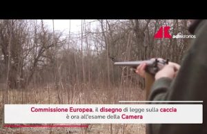 Ddl Caccia all’esame della Camera, Commissione Ue vigila