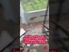 Terremoto in Venezuela, due scosse di magnitudo 7.2 e 7.5 devastano Caracas