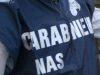 Ristorante chiuso dai Nas a Livorno: sporco e infestanti, scattano sanzioni