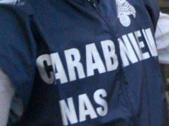 Ristorante chiuso dai Nas a Livorno: sporco e infestanti, scattano sanzioni