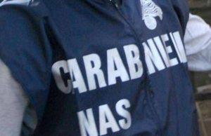Ristorante chiuso dai Nas a Livorno: sporco e infestanti, scattano sanzioni