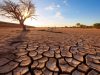 Clima, lo studio: riscaldamento globale accelera, la svolta dal 2013-2014