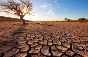 Clima, lo studio: riscaldamento globale accelera, la svolta dal 2013-2014