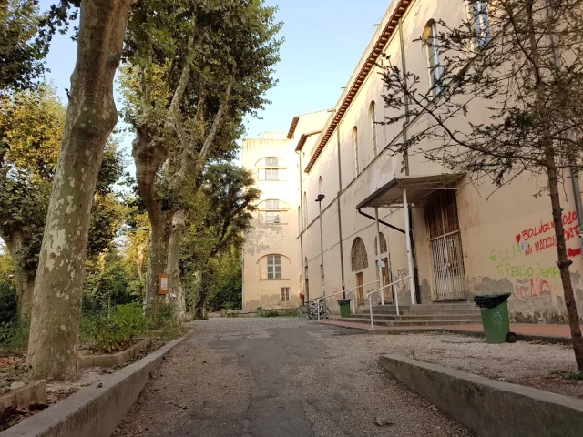 Liceo Cecioni Livorno