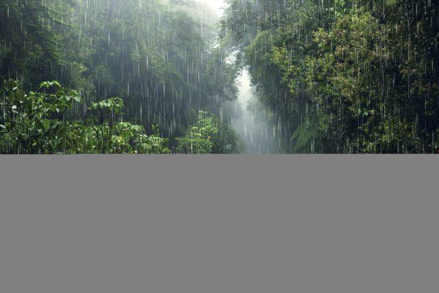 composizione-degli-effetti-meteorologici