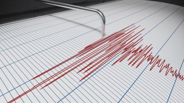 sismografo terremoto sisma scossa