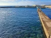 Pellegrini, storia e spettacolo: torna l’Approdo a San Jacopo