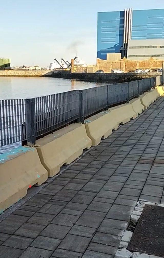 Bellana livorno