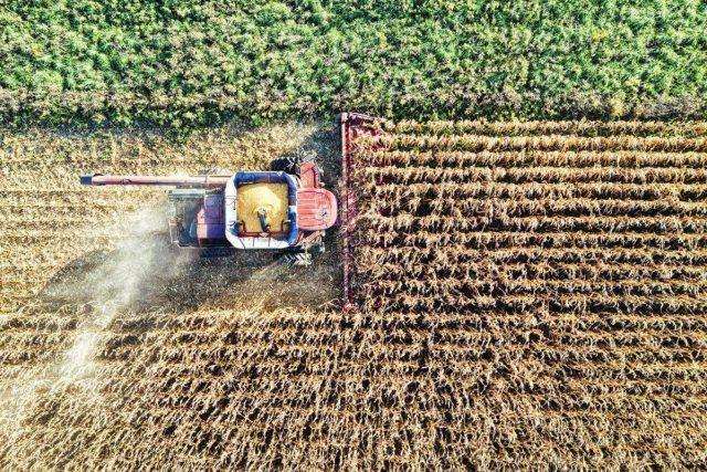 Osservatorio Agrofarma: “Italia modello di eccellenza per uso agrofarmaci”