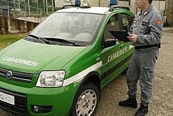 carabinieri forestali forestale
