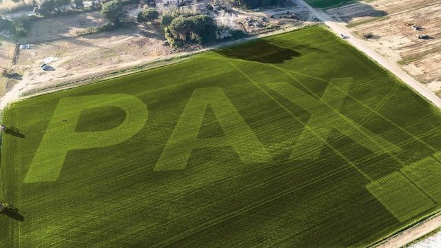180 metri di pace, quando il prato diventa messaggio universale