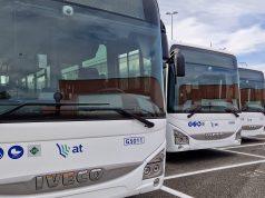 Autobus, Amadio (FdI): “Aumenti del biglietto inaccettabili, penalizzati pendolari e studenti”