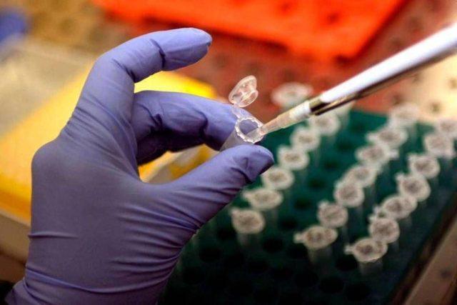 Cancro al pancreas, l’annuncio dalla Spagna: “Tumore eliminato nei topi”
