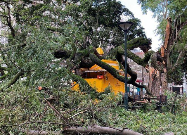 La tempesta Kristin colpisce il Portogallo, almeno 4 morti