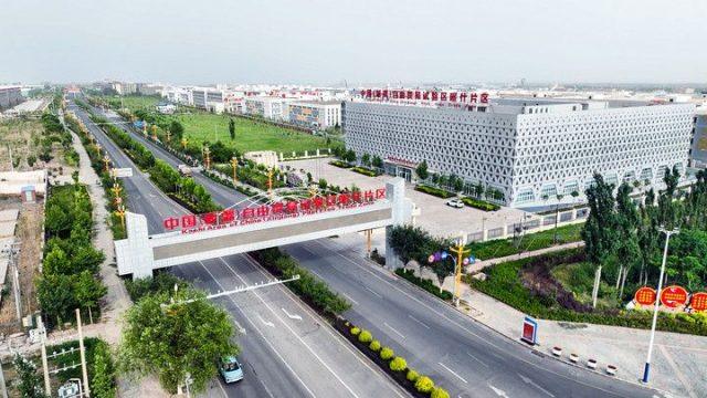 20260205_2465
