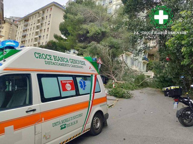 Maltempo sull’Italia, donna ferita da un ramo caduto a Genova. Grandine e pioggia a Roma, traffico in tilt