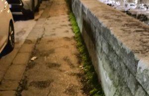 Taglio dell’erba lungo le provinciali: lavori al via dal 1° giugno