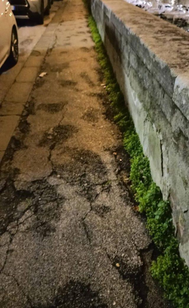 erbacce sfalci verde urbano