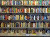 Da ‘Tutte le mattine di Sybil’ a ‘Ci basterà mangiare il vento’: tutte le novità in libreria