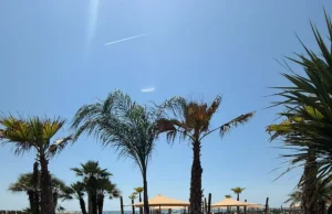 Marina di Pietrasanta, inaugurato il Tala Beach. Più di mille gli ospiti