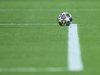 Calcio: quote Champions, per Sisal.it avanti il Psg a 1,70