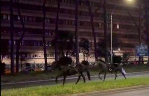 Cavalli in fuga a Roma, 4 vigili urbani fuori dalla parata del 2 giugno