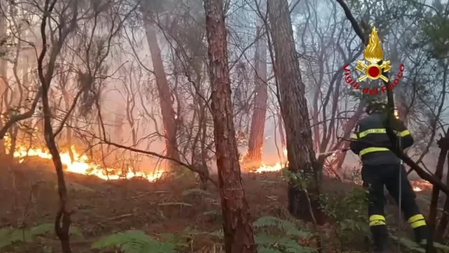 monte faeta incendio bosco