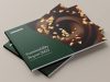 Ferrero, pubblicato 17esimo Report Sostenibilità, tracciabilità materie prime e tutela ambiente