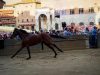 Terza prova del Palio d Siena con il fiato sospeso, il Bruco vince con il cavallo scosso