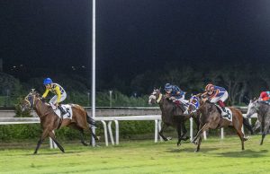 Premio Livorno, Zar Bitter domina al Caprilli. Tris di vittorie per Stefano Botti nella serata di corse