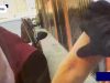 Caso Fakir, al Tg1 immagini body cam poliziotti. Legale agenti: “Contatto con altre persone”
