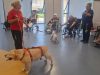 Cani e sorrisi nelle RSA: a Livorno parte il progetto di pet therapy con l’Unità Cinofila