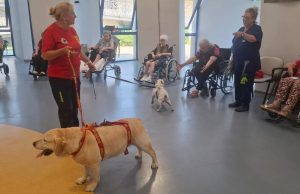 Cani e sorrisi nelle RSA: a Livorno parte il progetto di pet therapy con l’Unità Cinofila